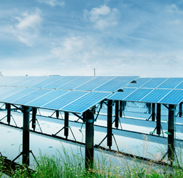 Solar panels in a field